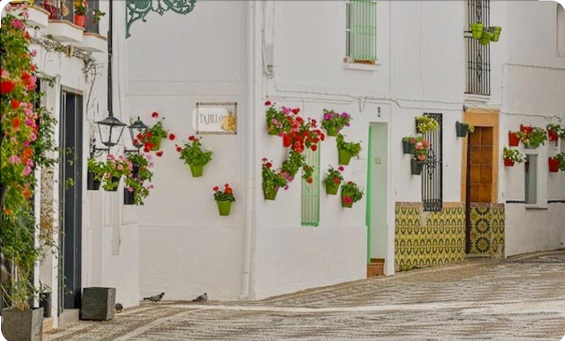 Apartamento E&D ネルハ エクステリア 写真